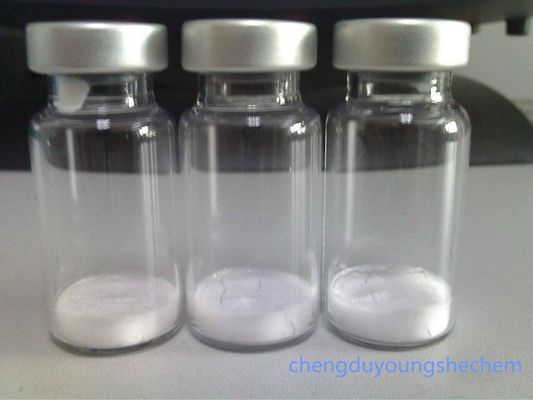 photo-aging peptide white color powder N-Acetyl Carnosine from Chinese supplier